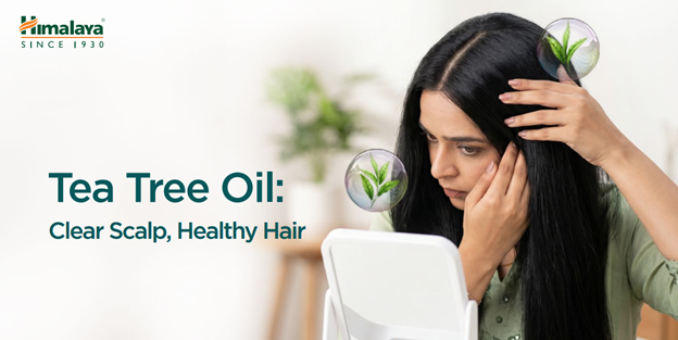 Tea Tree Oil Benefits for Dandruff and Scalp Health