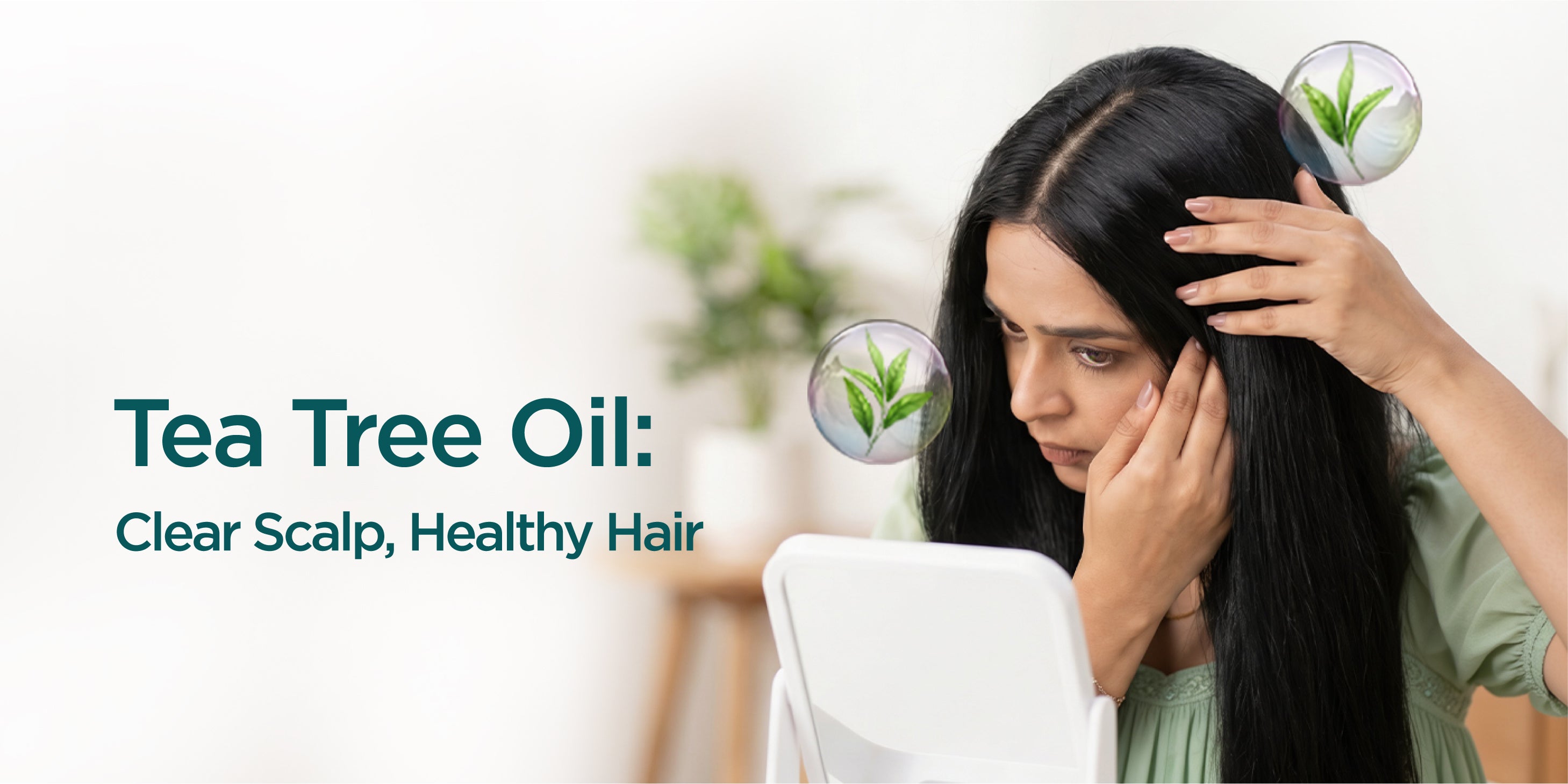 Tea Tree Oil Benefits for Dandruff and Scalp Health