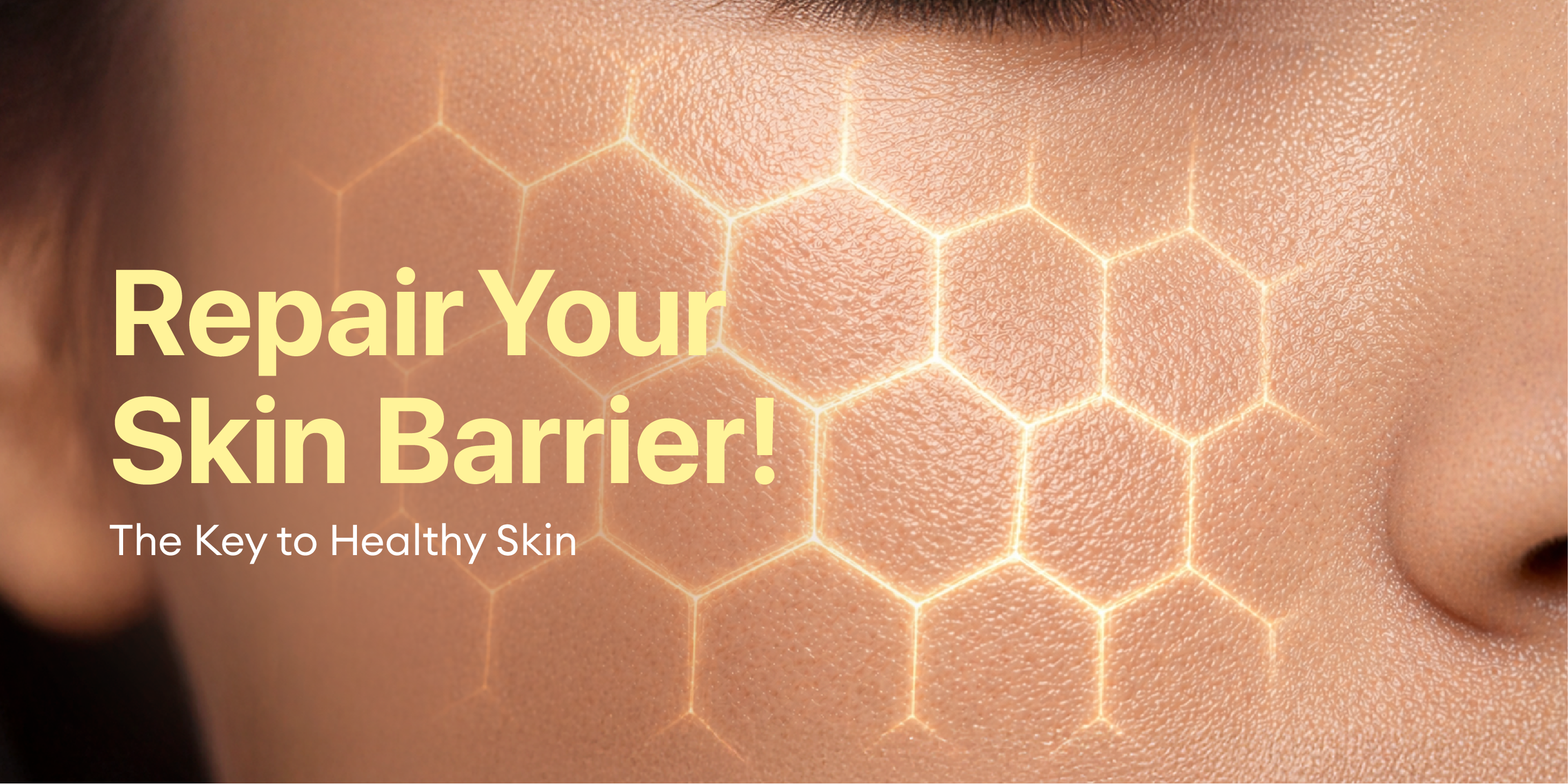 Skin Barrier: What It Is and Why It’s Important for Healthy Skin