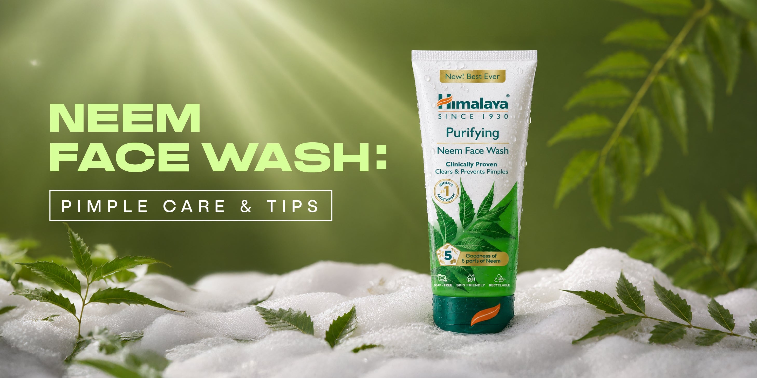 Neem Face Wash for Pimples: Benefits and Daily Usage Tips 
