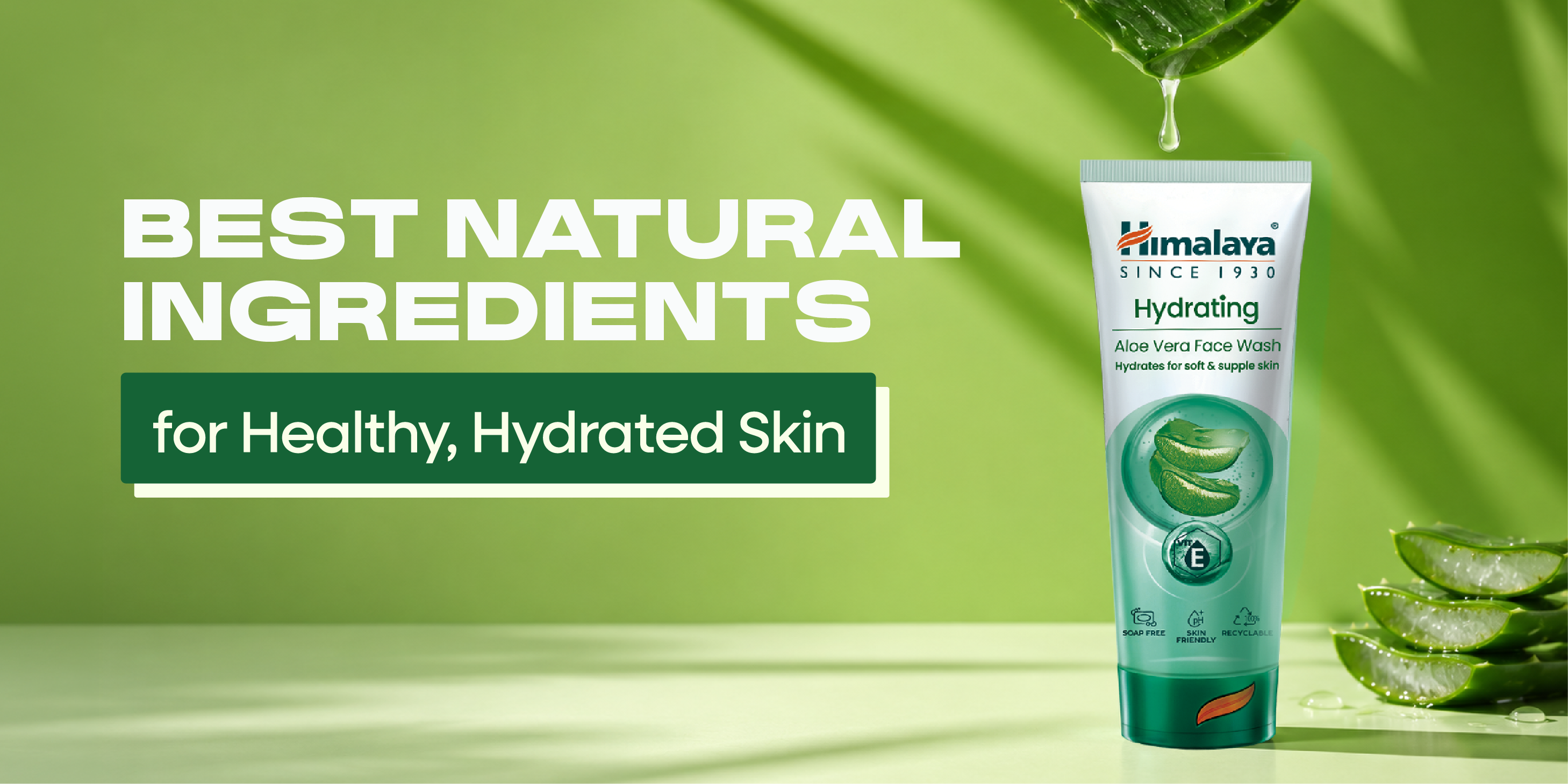 Natural Ingredients That Help Maintain Healthy Skin Moisture Levels.png