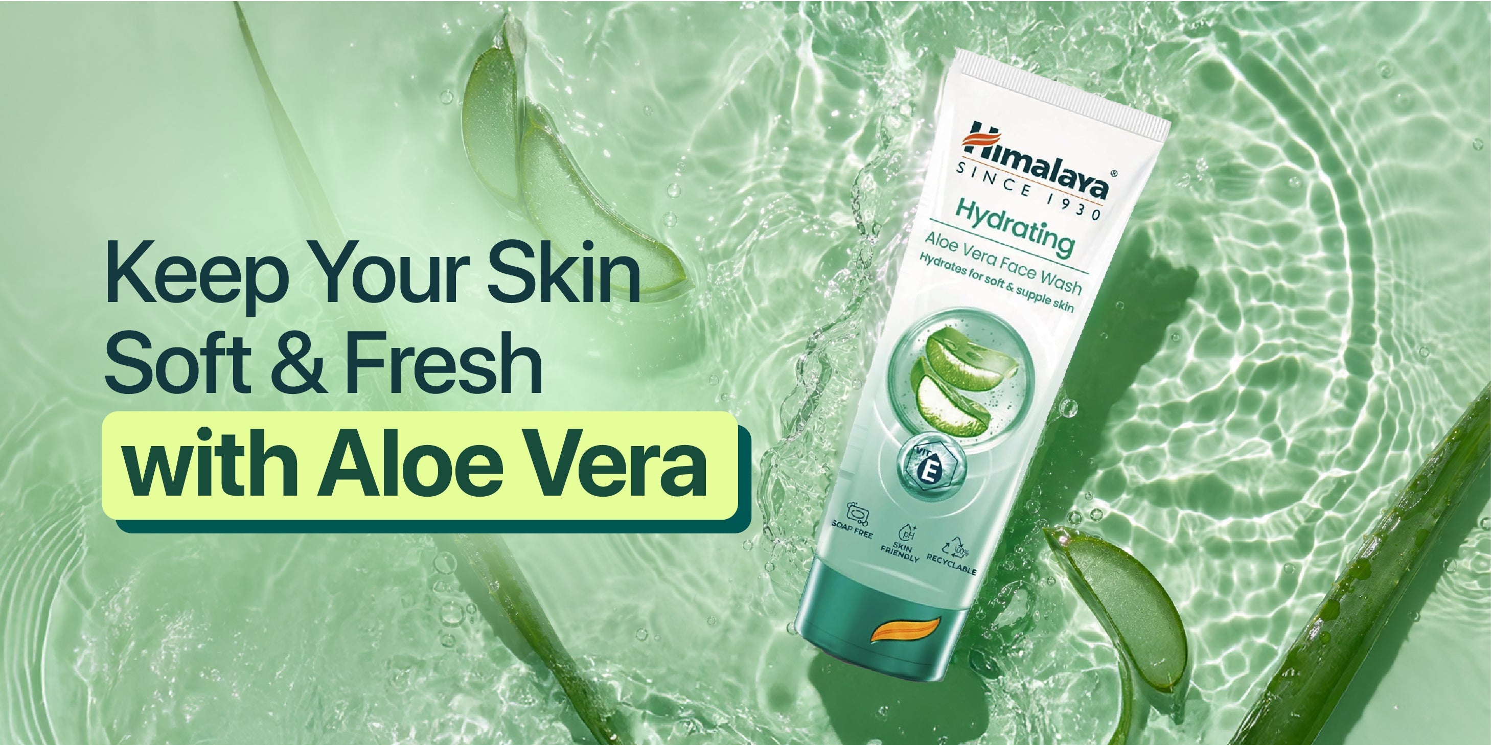 How Aloe Vera Keeps Your Skin Soft and Fresh.jpg