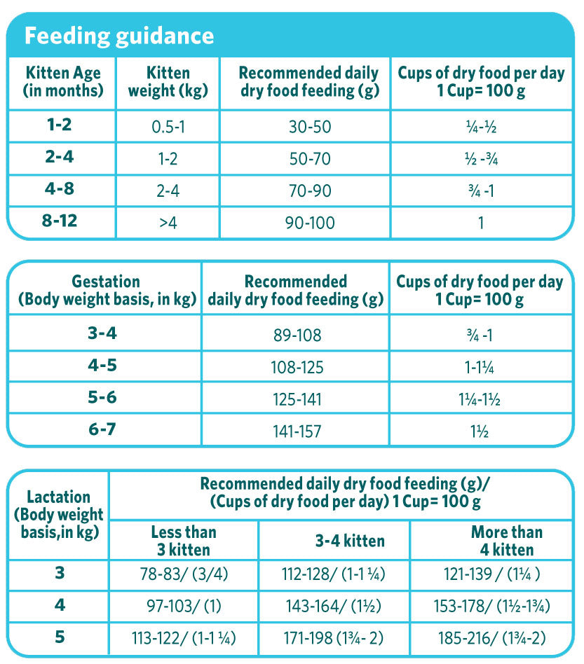 Himalaya Healthy CAT food Kitten – Ocean Fish and Chicken Feeding Guidance