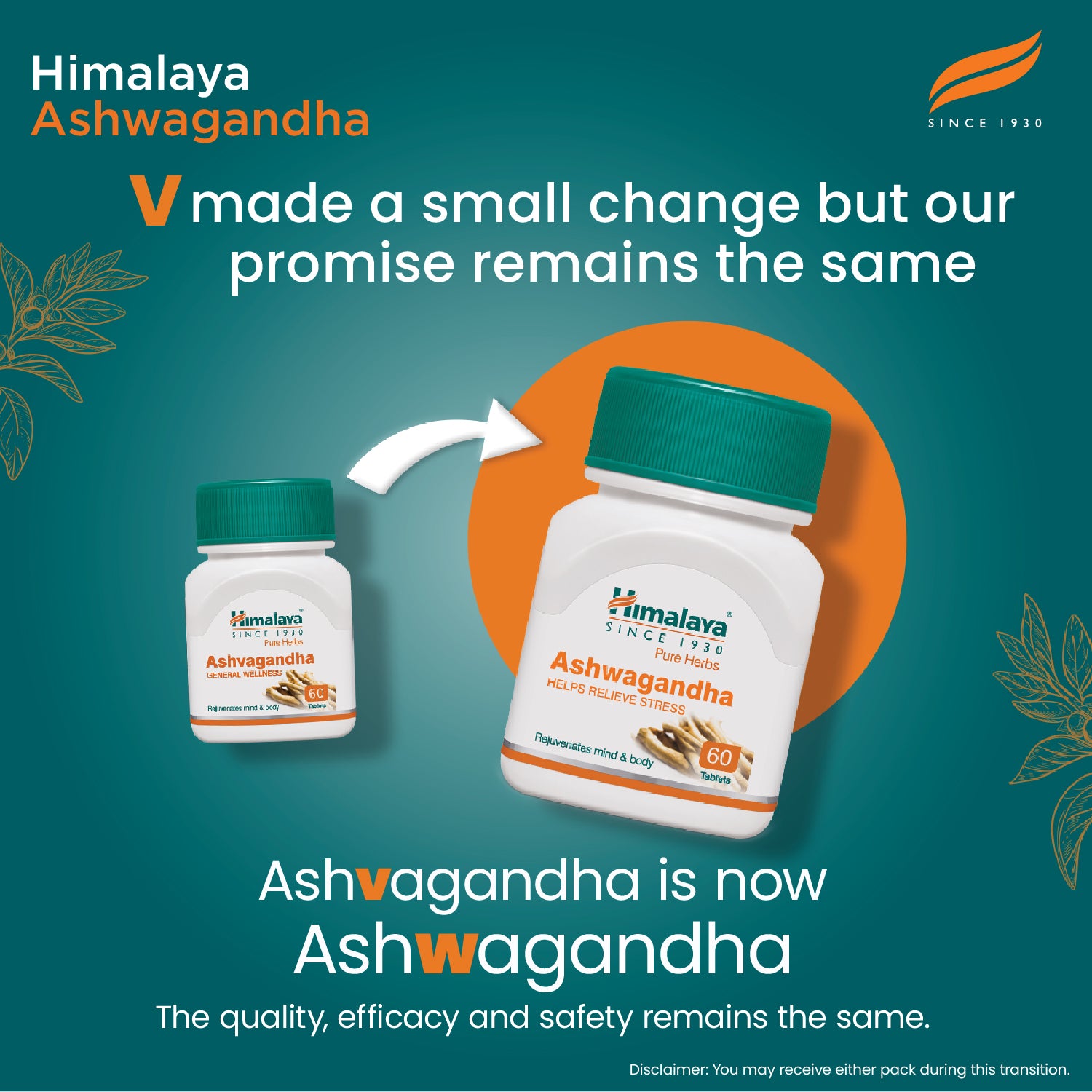 Ashwagandha