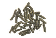 Long Pepper (Pippali)