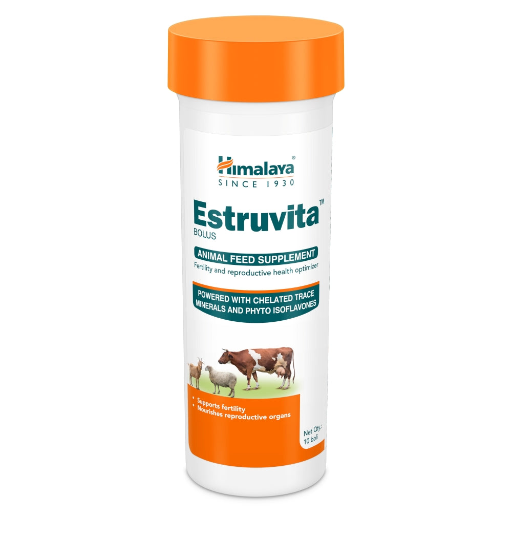 Estruvita™ Bolus