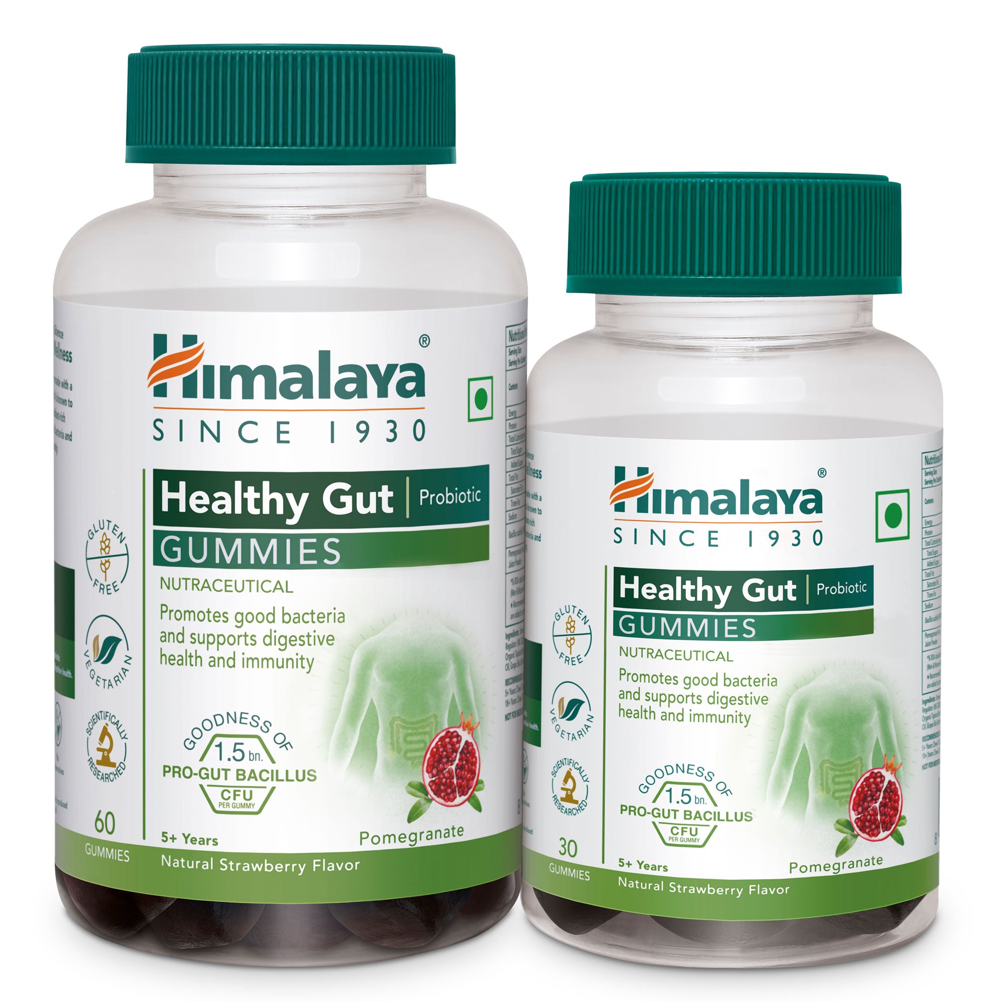 Healthy Gut Probiotic GUMMIES
