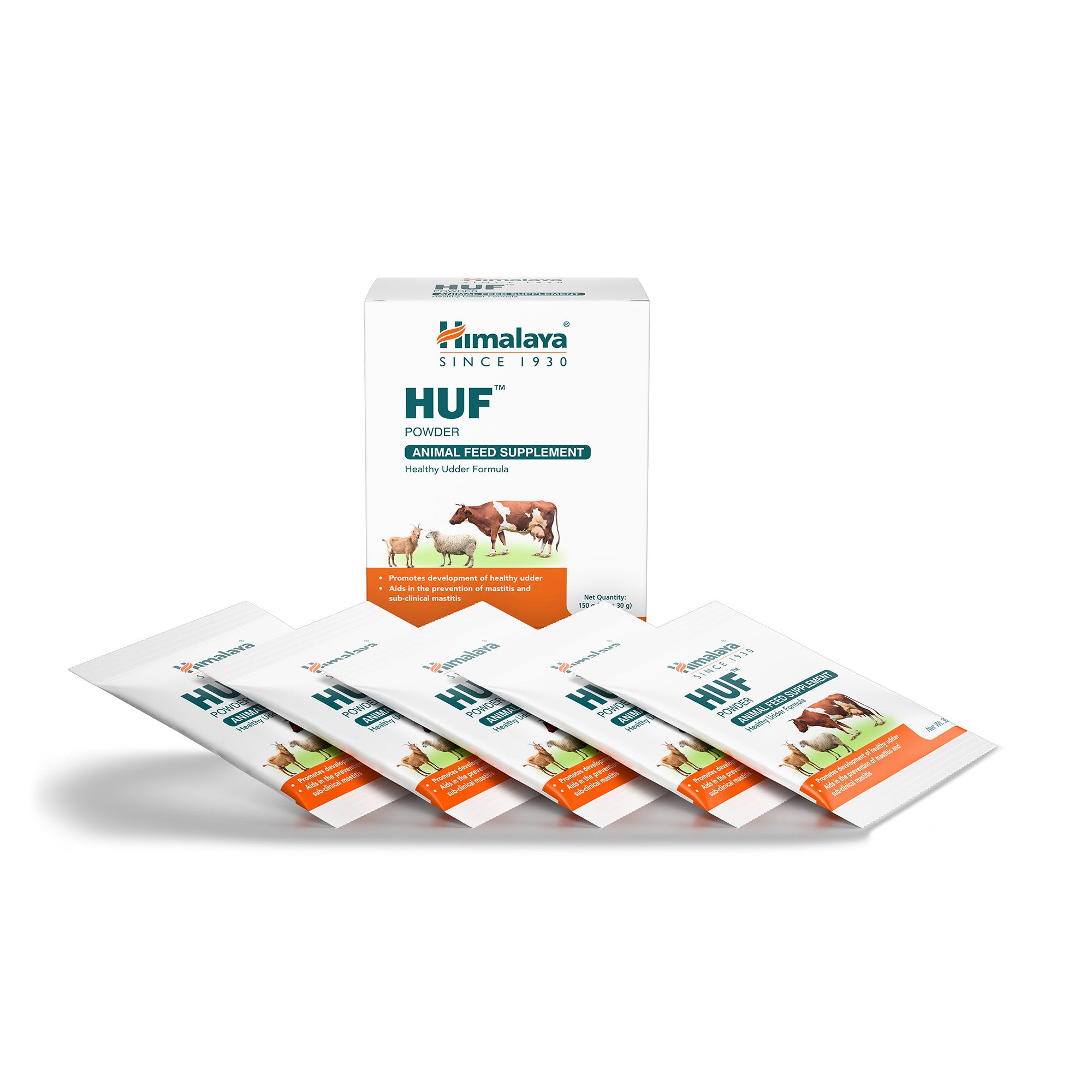 HUF Powder