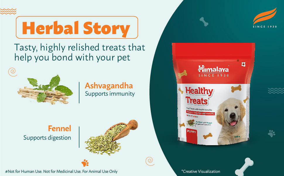 Himalaya Healthy Treats Puppy- Dog treats with Health Benefits