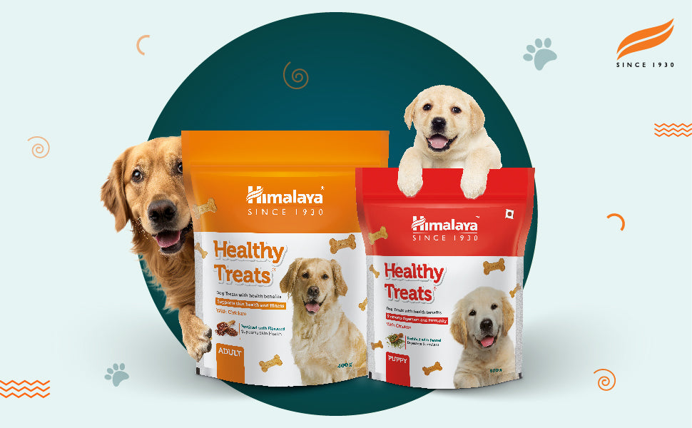 Himalaya Healthy Treats Puppy- Dog treats with Health Benefits