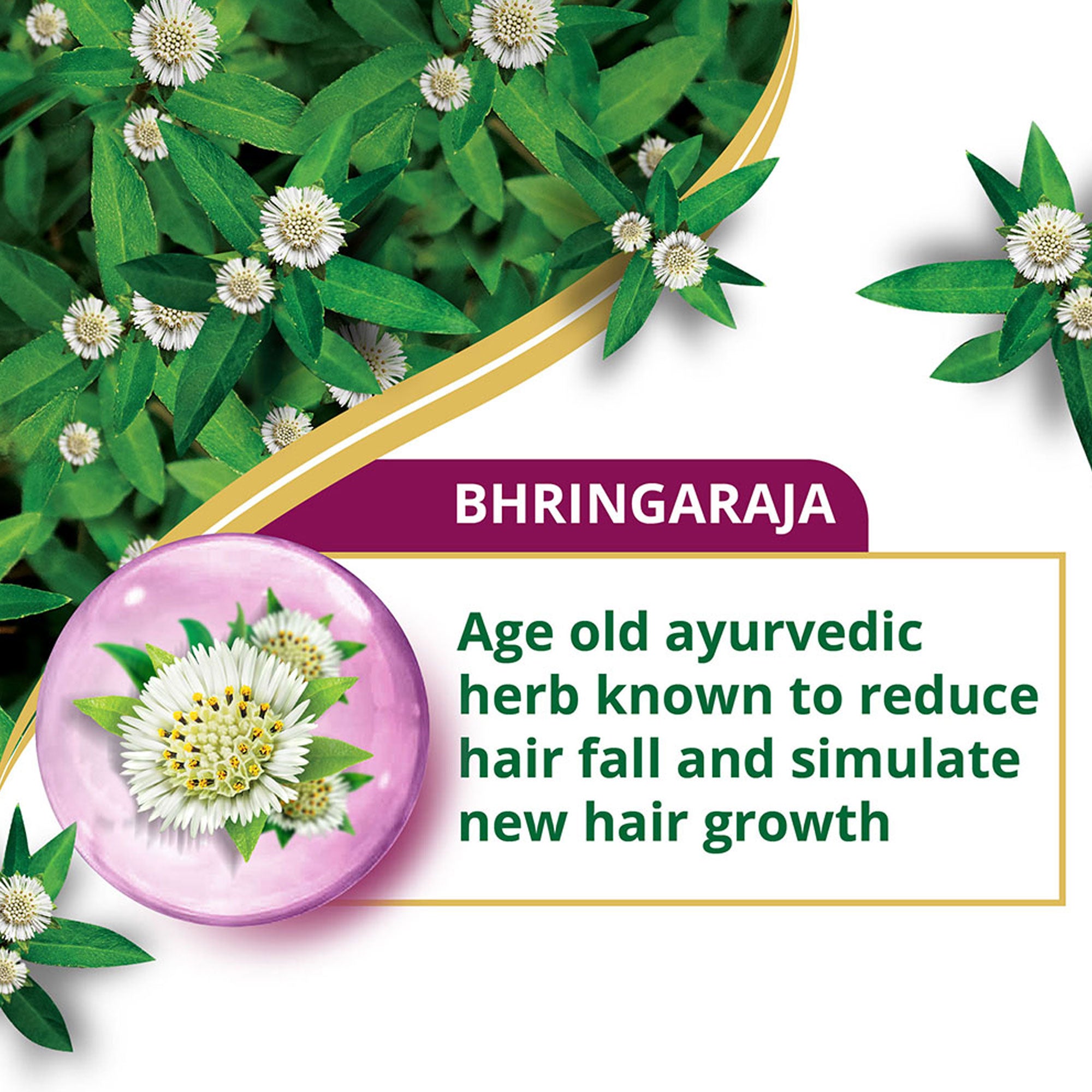 Anti-Hair Fall Bhringaraja Conditioner