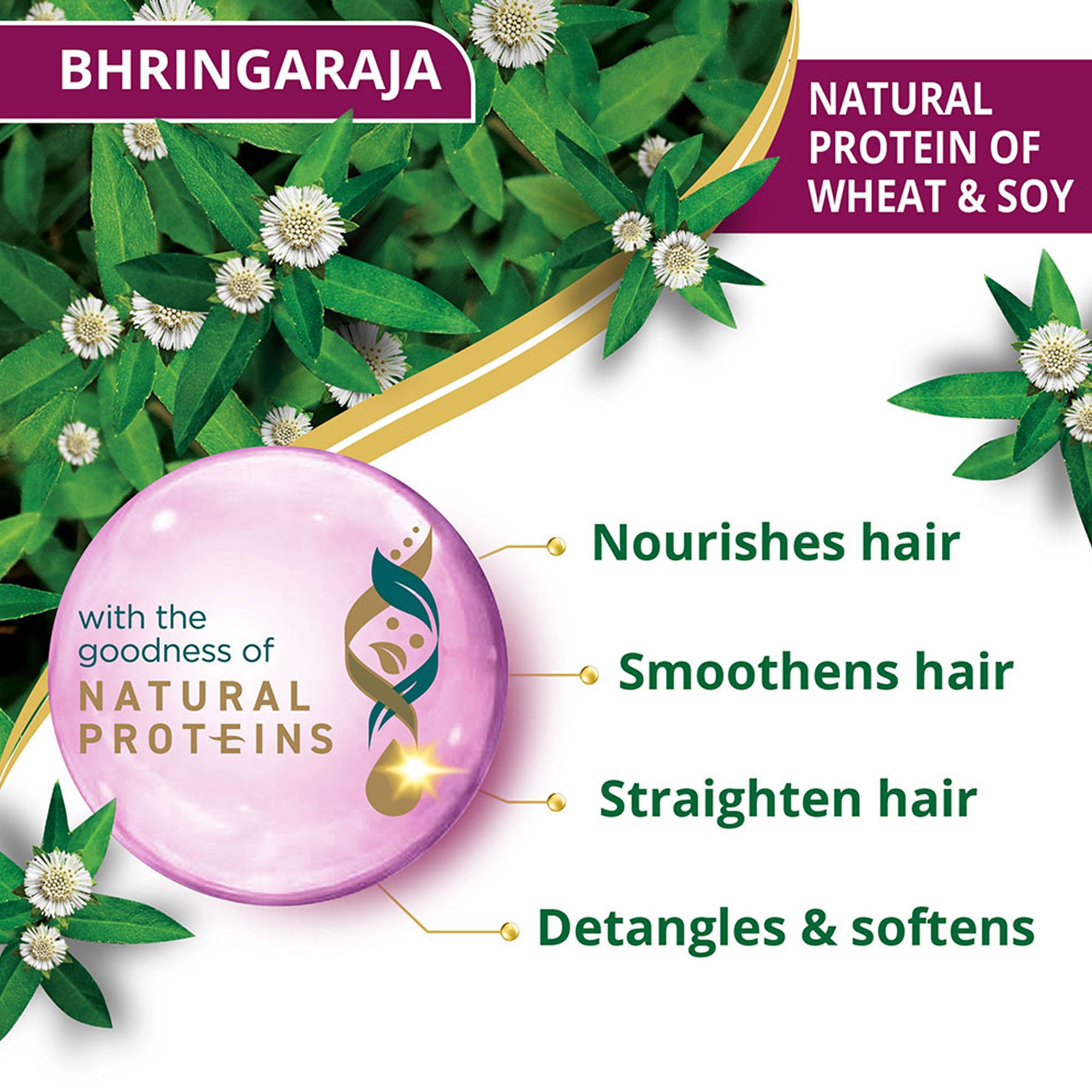 Anti-Hair Fall Bhringaraja Conditioner