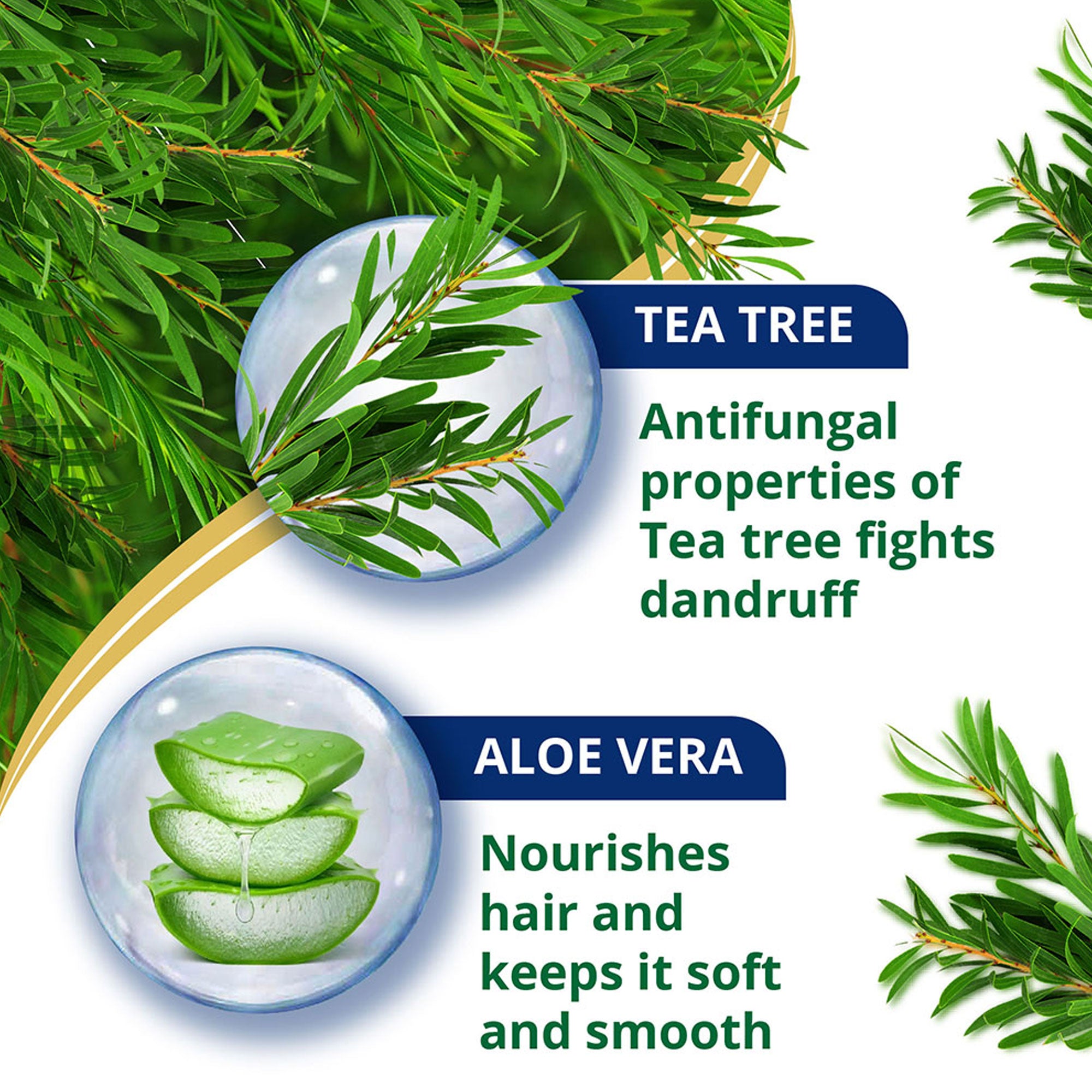 Buy Himalaya Anti-Dandruff Tea Tree Conditioner 80ml – Himalaya ...