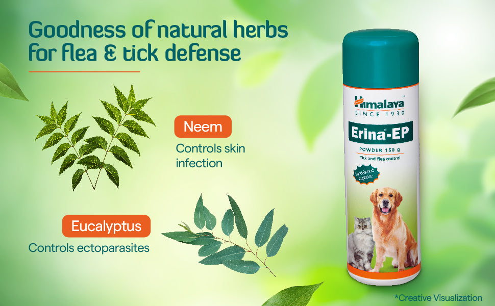 Himalaya Erina-EP Powder – Himalaya Wellness (India)