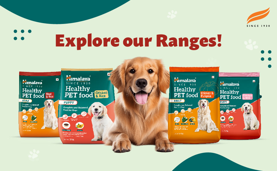 Healthy Pet Food Adult Meat Rice – Himalaya Wellness (India)