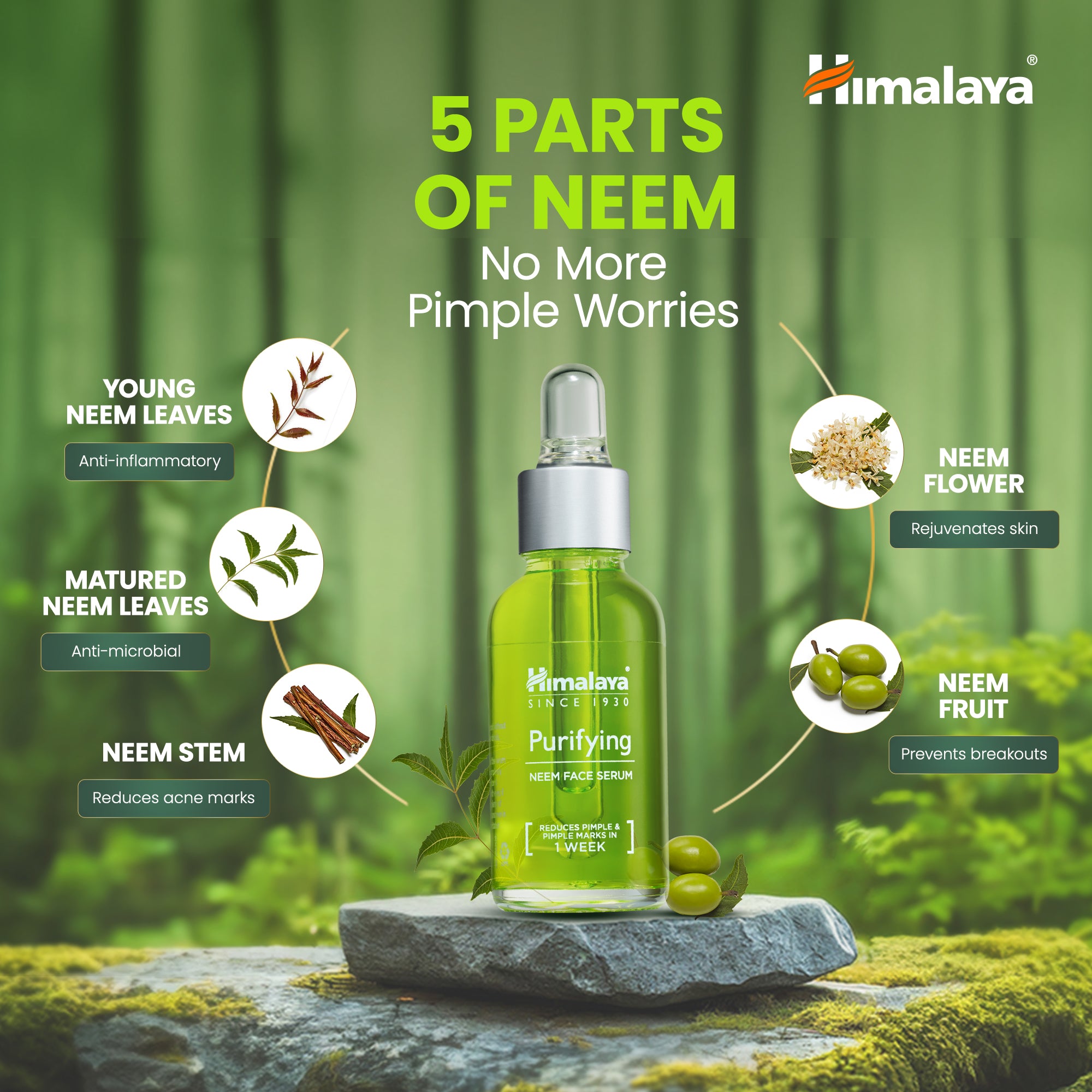 Purifying Neem Face Serum