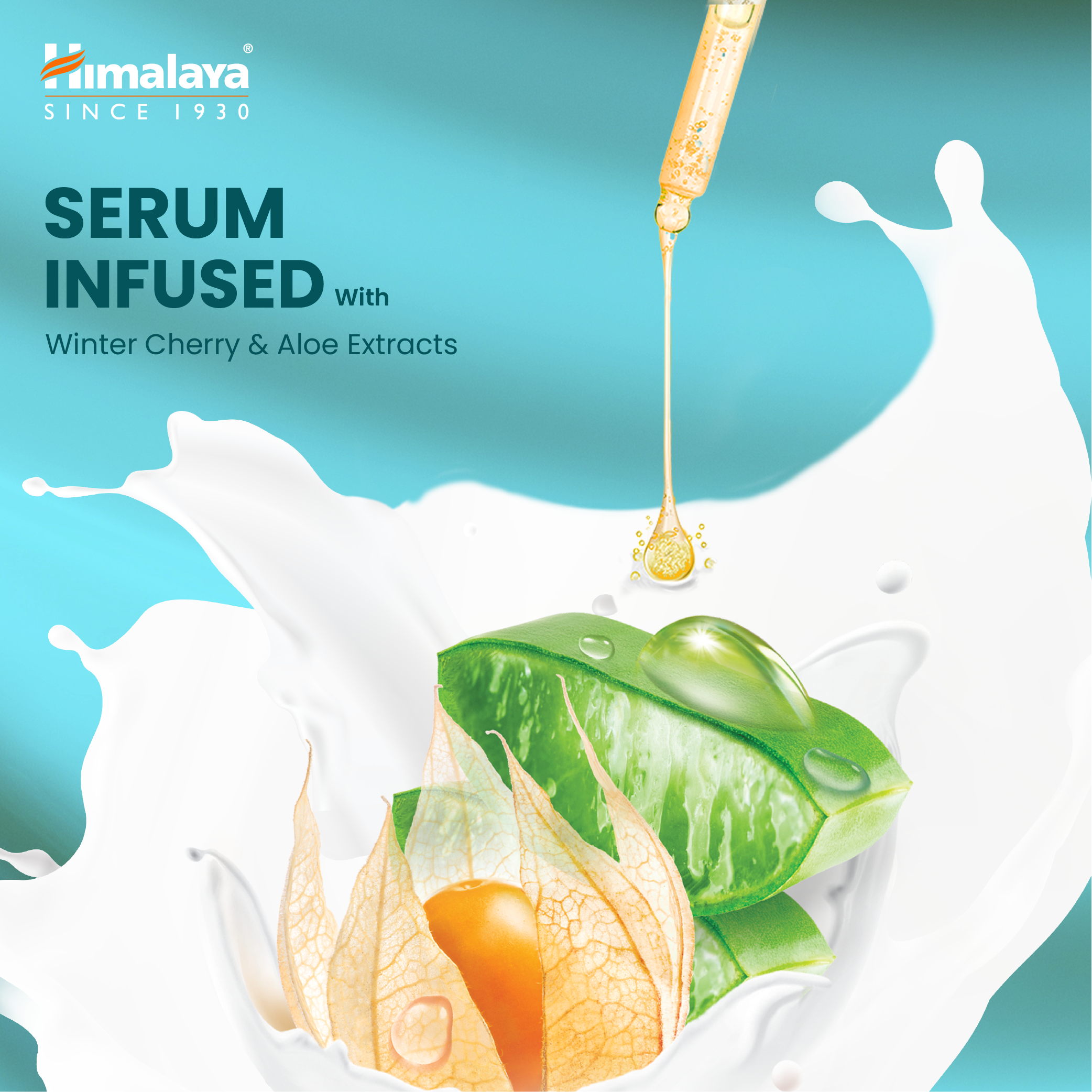 Winter Cherry & Aloe Nourishing Serum Body Lotion