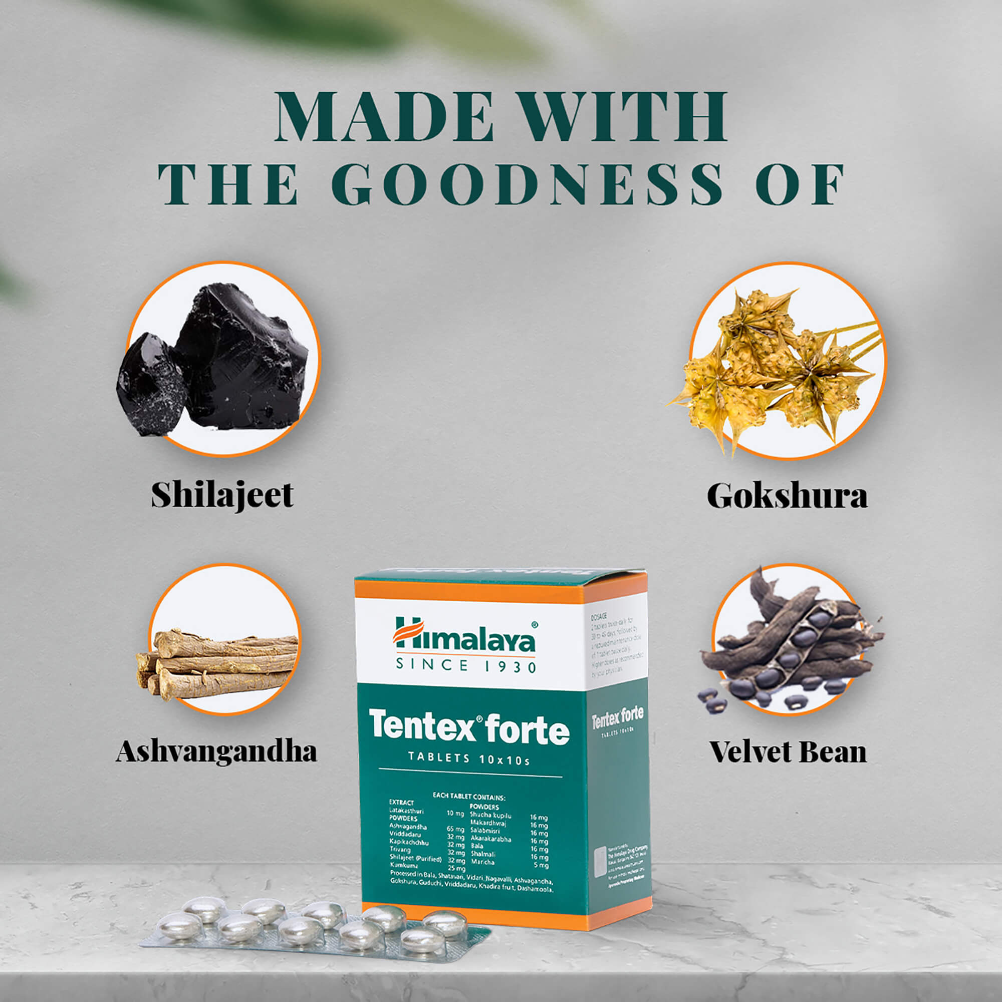 Himalaya Tentex Forte Tablets Ingredients - Shilajeet, Gokshura, Ashvagandha, and Velvet Bean