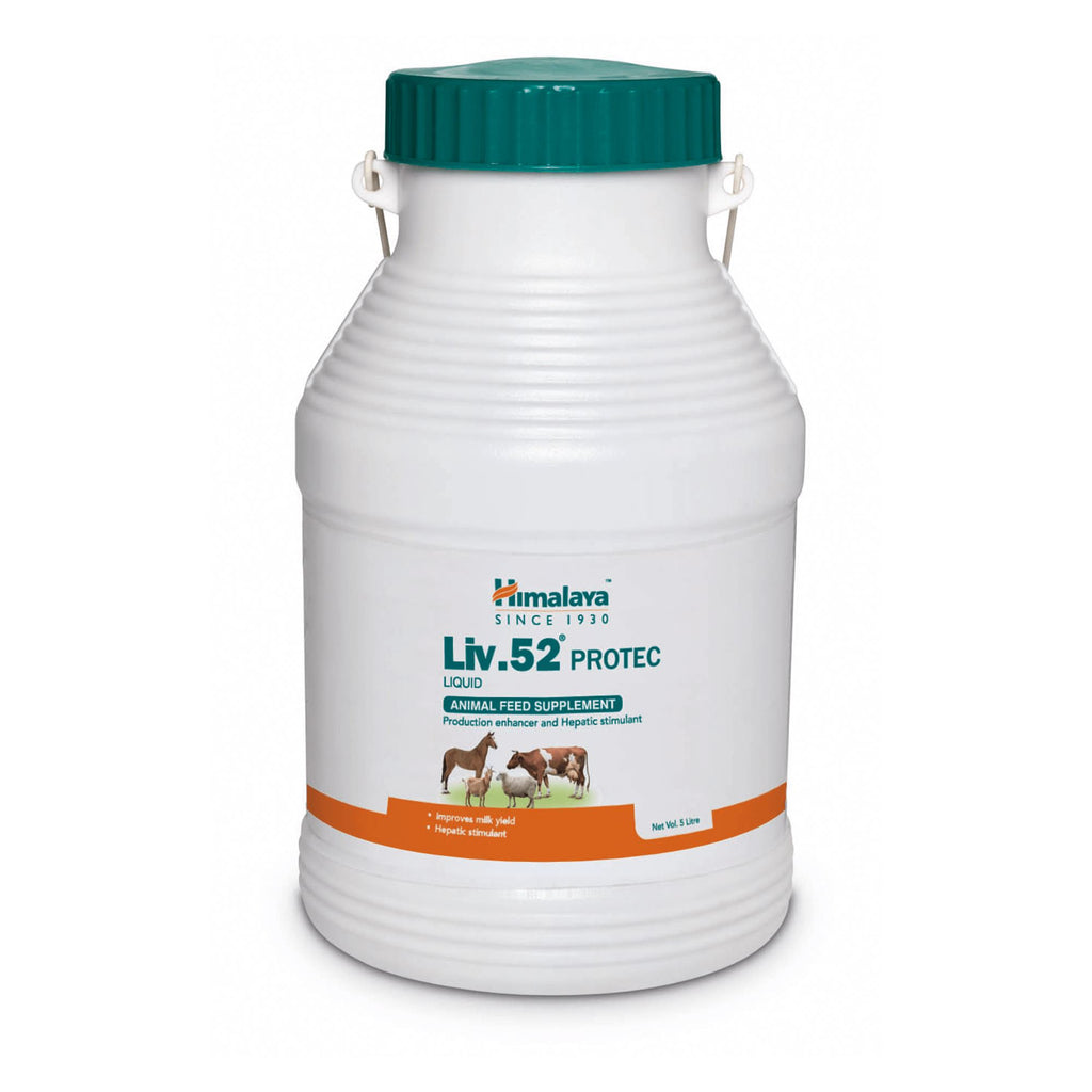 Buy Himalaya Liv.52 Protec Liquid 1 L Online at Best Price in