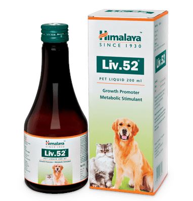 Himalaya Liv 52 pet 200ml- Liver supplement for pets