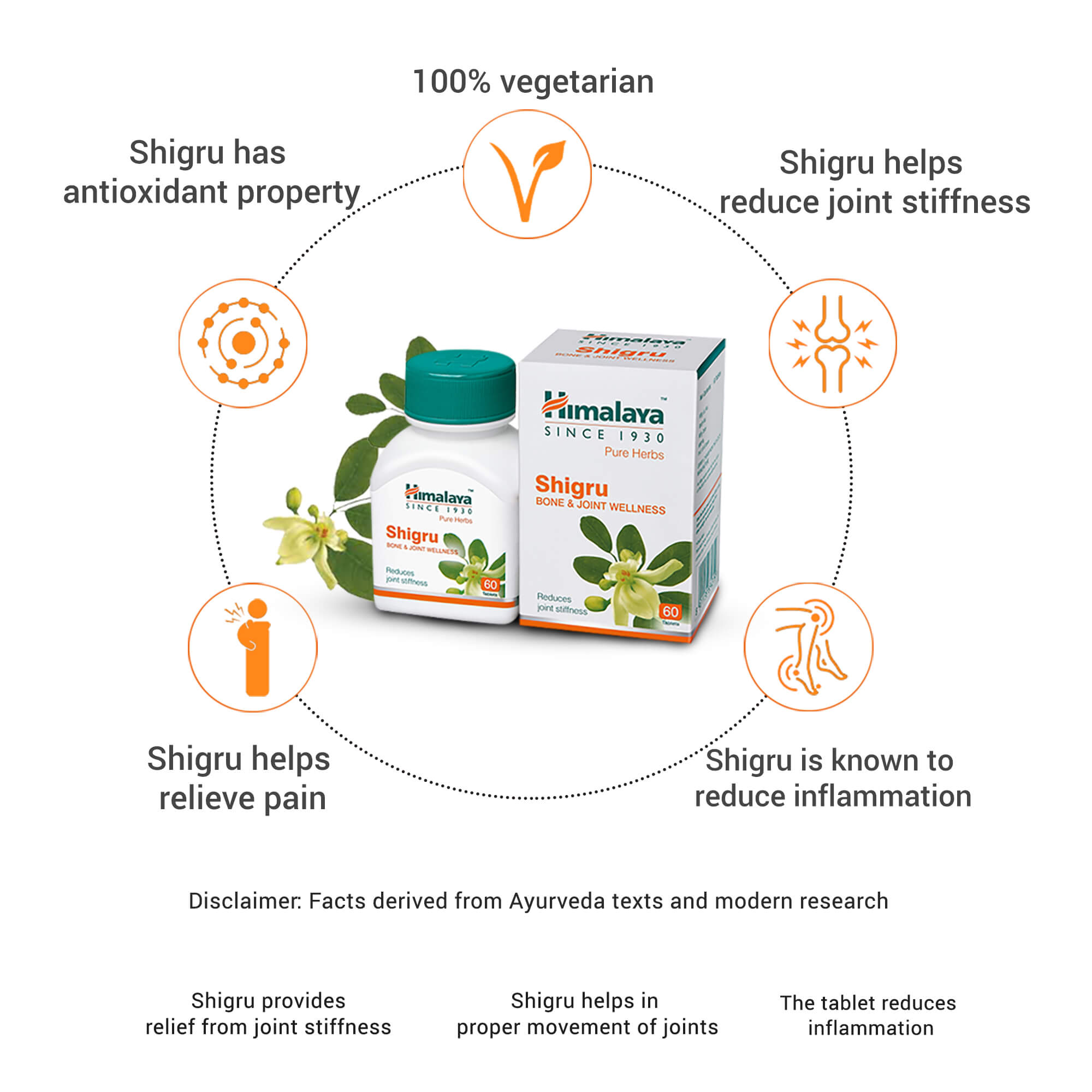 Shigru Formulation Himalaya Shigru - Reduces Joint Stiffness – Himalaya Wellness (India)