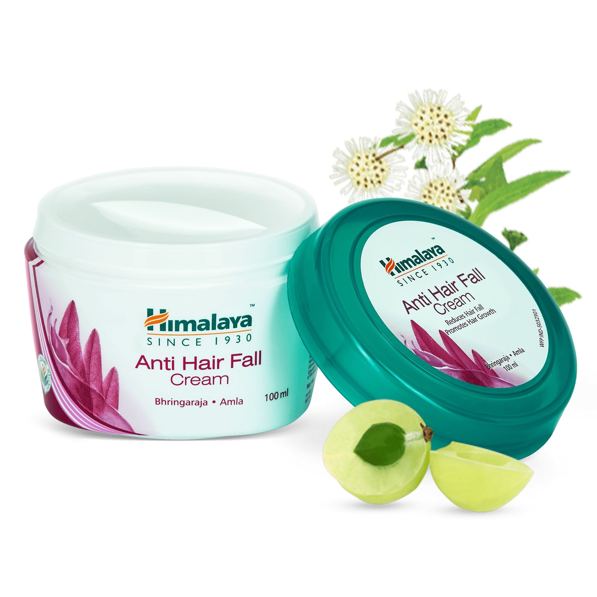 Himalaya Anti Hair Fall Cream Reduces Hair fall  Promotes Growth –  Himalaya Wellness (India)