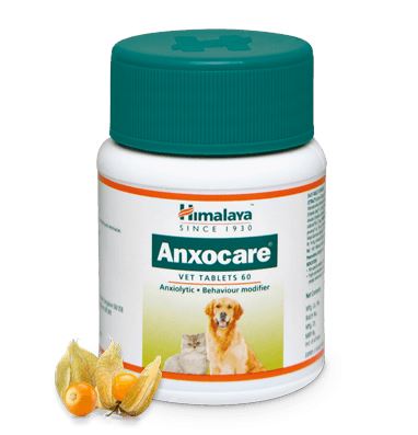 Himalaya Anxocare VET TABLETS 60 Tablets - Controls anxiety in dogs and cats