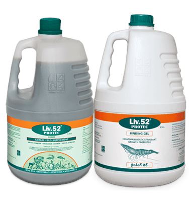 Himalaya Liv 52 protec BG 30 Liter, BG 5 Liter, Powder 20 kg, Liquid 5 Liter, Liquid 30 Liter - Protects the liver from toxins, drugs and chemicals