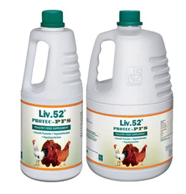 Himalaya Liv52 protec PFS Liquid 1 Liter , Liquid 5 Liter and Powder 20 Kg- Production enhancer and hepatostimulant for poultry