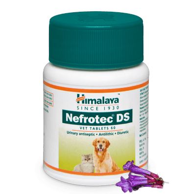 Himalaya Nefrotec DS VET TABLET 60 Tablets - Antilithic, diuretic and urinary antiseptic