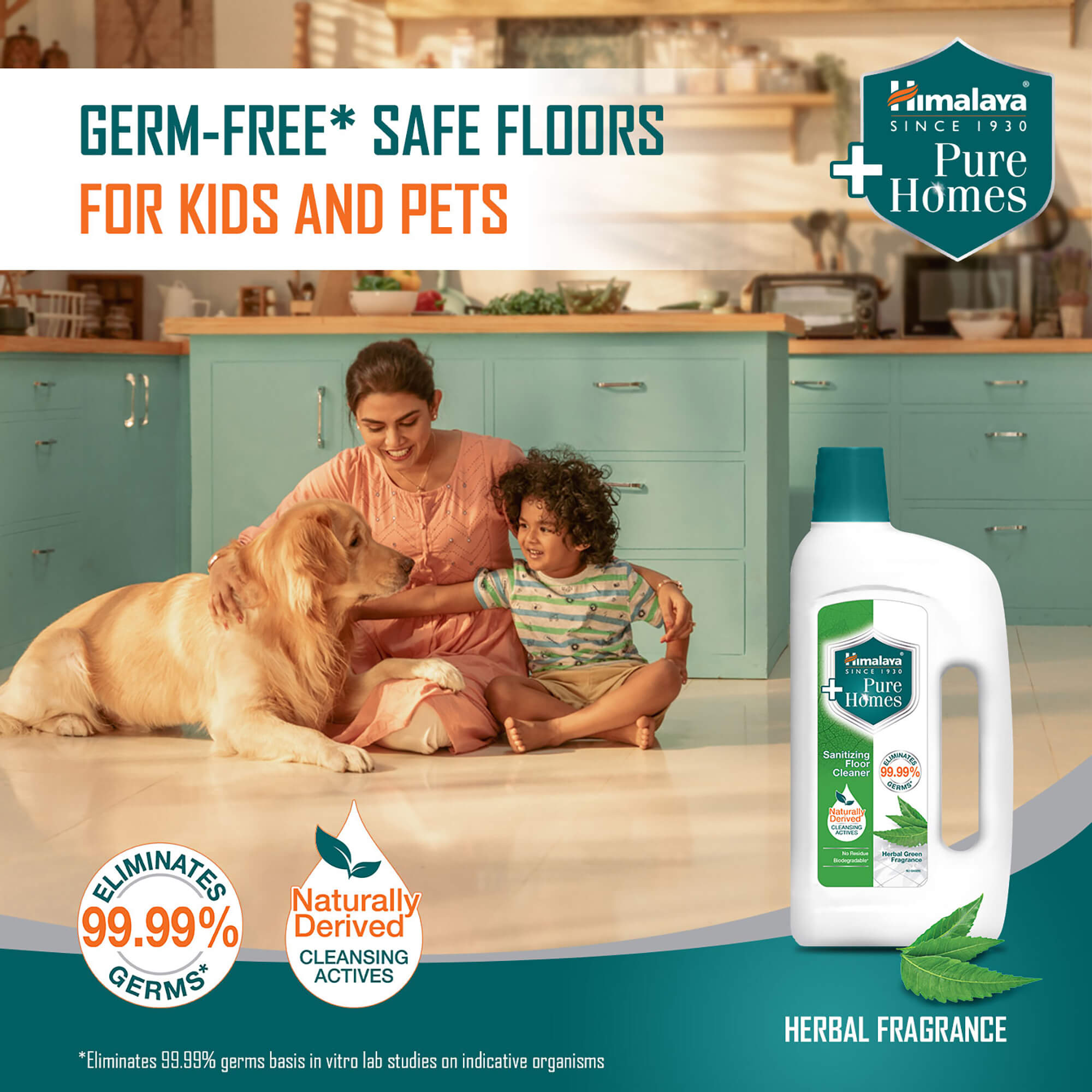 Pure Homes Sanitizing Floor Cleaner (Herbal Green)