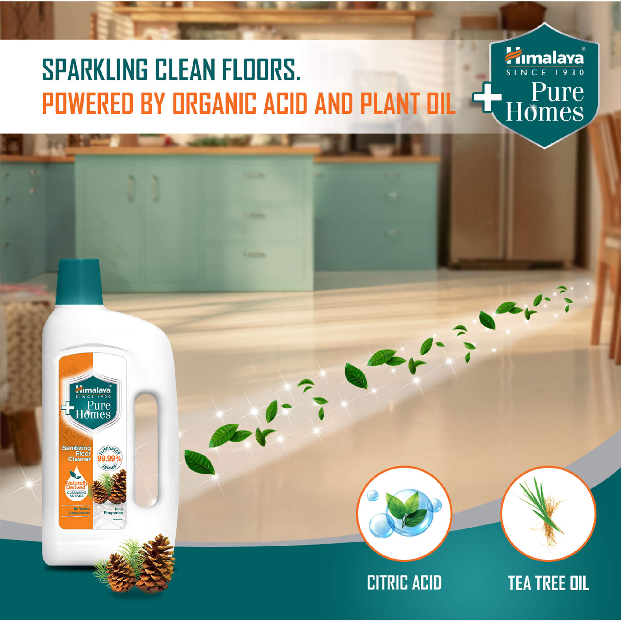 Pure Homes Sanitizing Floor Cleaner (Pine)